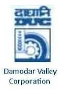 Damodar Vaile Corporation